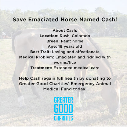 Funded - Save Emaciated Horse Named Cash