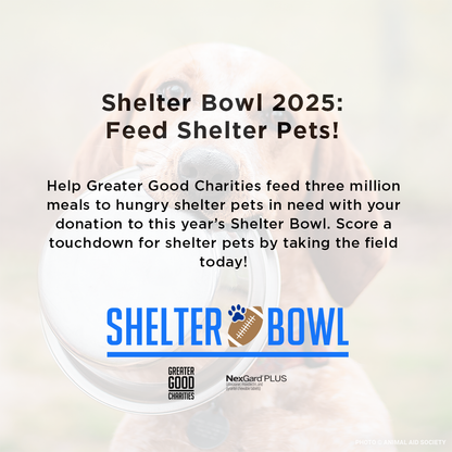 Shelter Bowl 2025: Feed Hungry Shelter Pets | Donations Matched!