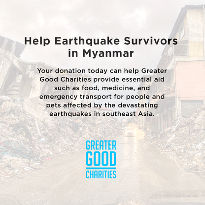 Sterling Silver Myanmar Pin - 100% of Proceeds to Myanmar Earthquake Aid