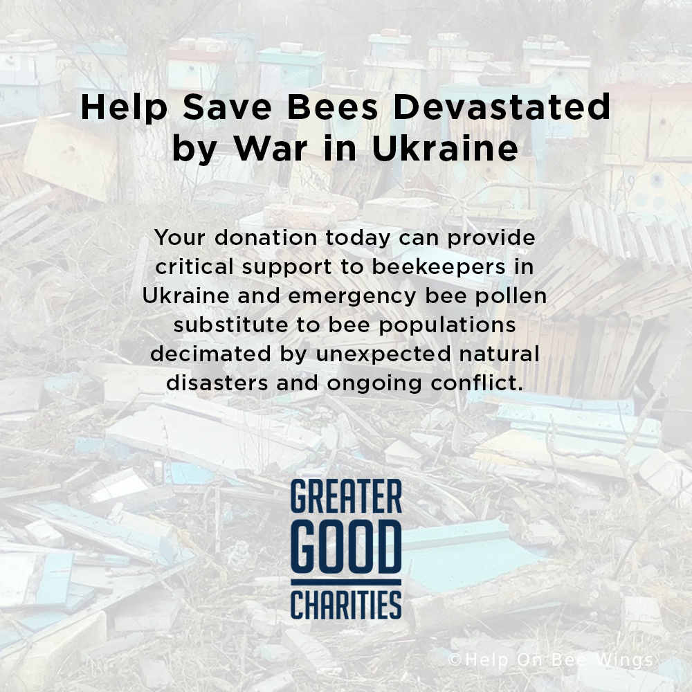 Help Save Bees Devastated by War in Ukraine