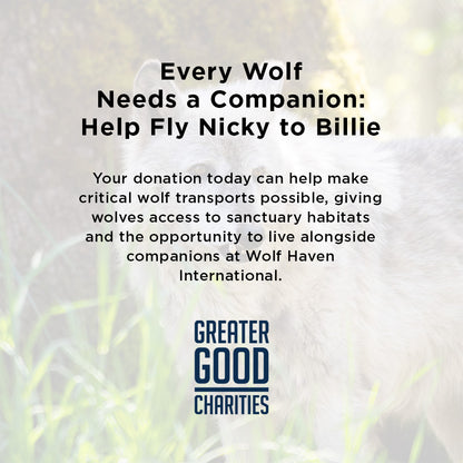 Every Wolf Needs a Companion: Help Fly Nicky to Billie