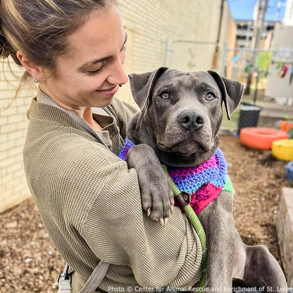 22 Scared and Starving Dogs Rescued & Need Our Care