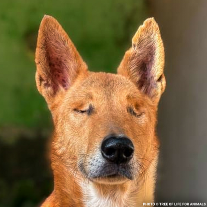 Support Faith’s Recovery After a Brutal Attack