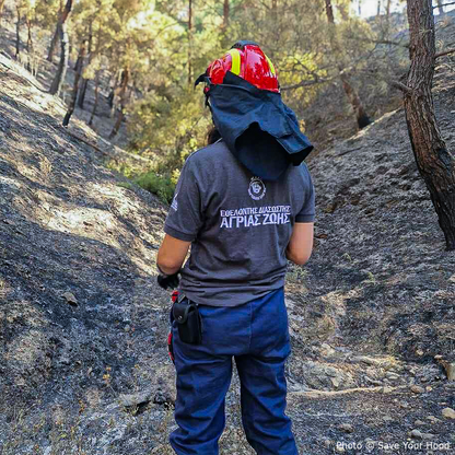 Send Urgent Aid to Families and Pets Impacted By Greece Wildfires