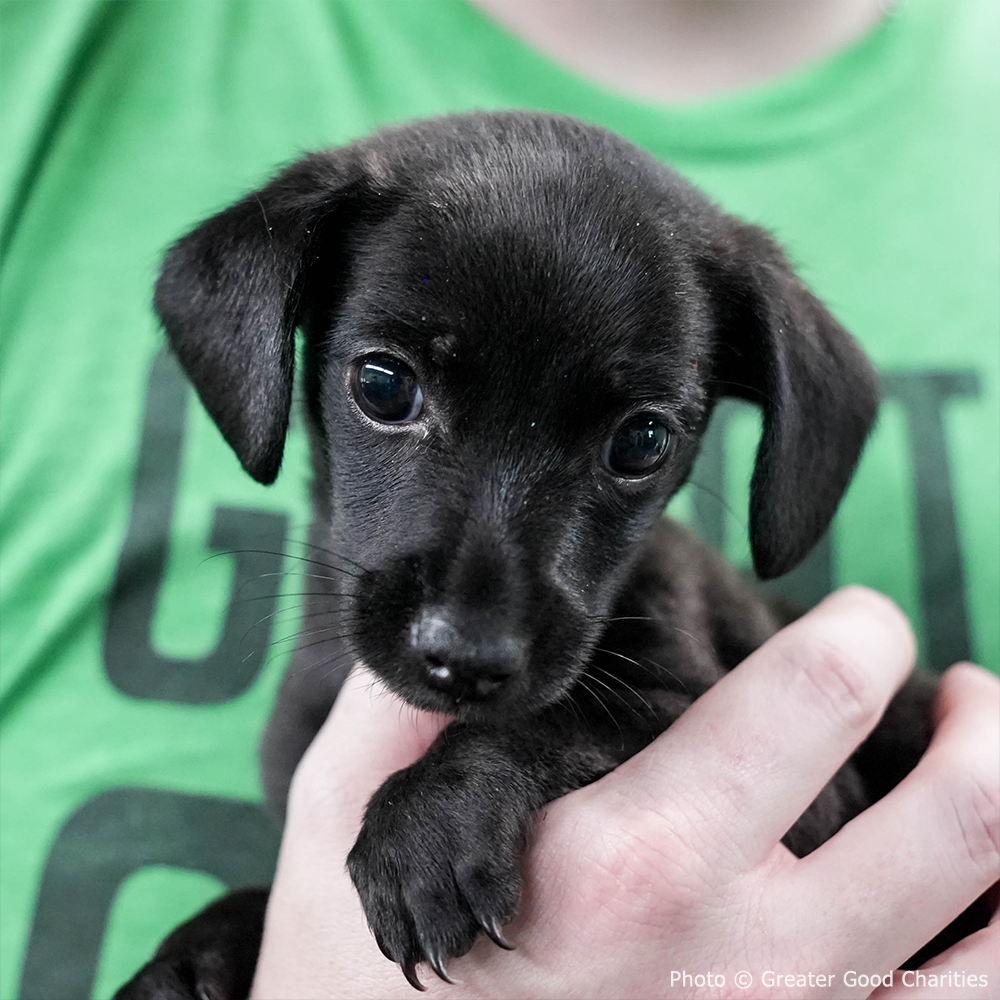 Help Where It's Most Needed