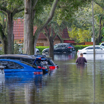 Hurricane Isaias Smashes Into the Gulf Coast: Rush Aid to People & Pets