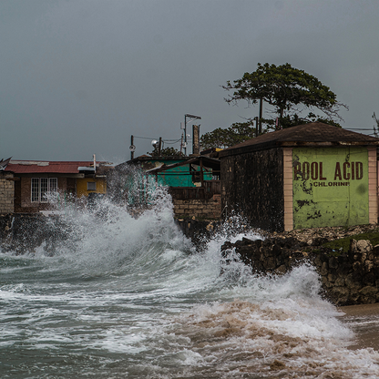 Rush Aid to People & Pets Devastated By Hurricane Melissa