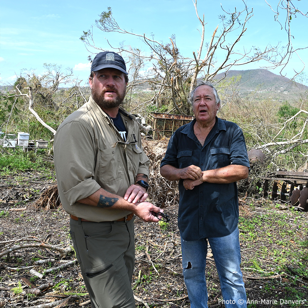 Help Save Bees Impacted by Hurricane Melissa