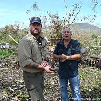 Help Save Bees Impacted by Hurricane Melissa