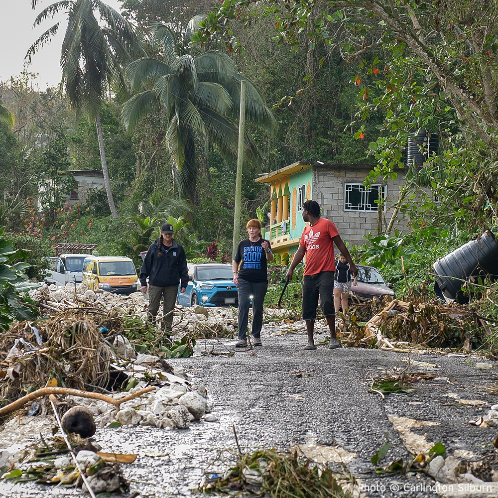 Help Save Bees Impacted by Hurricane Melissa