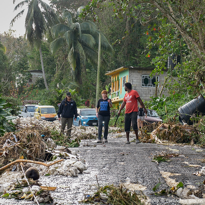 Help Save Bees Impacted by Hurricane Melissa