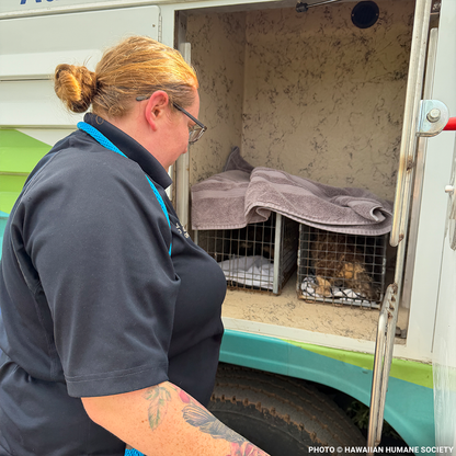 Help People and Pet Victims of Devastating Floods in Hawai'i