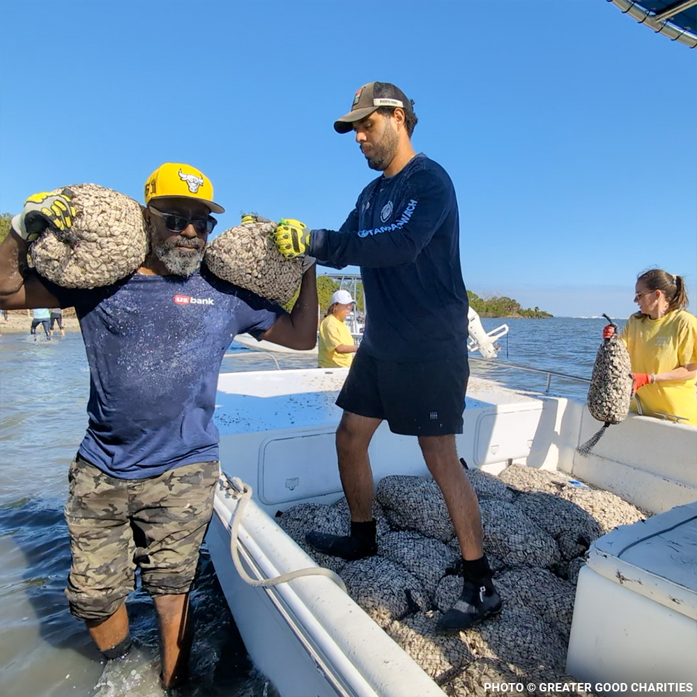 Restore Destroyed Shorelines & Coastal Habitats