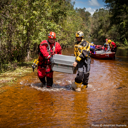 URGENT: Help People and Pets Affected by Devastating Floods in Texas