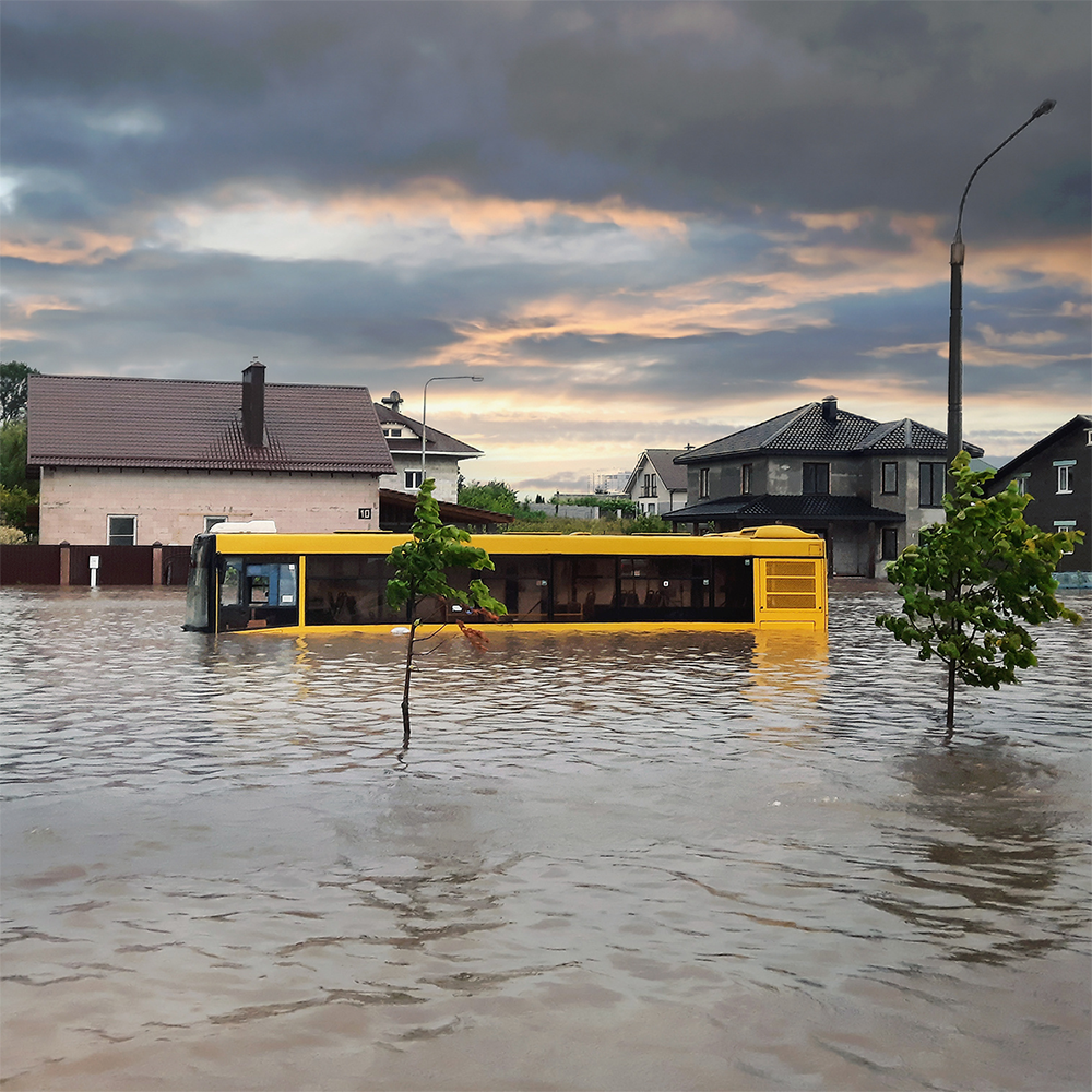 URGENT: Help People and Pets Affected by Devastating Floods in Texas