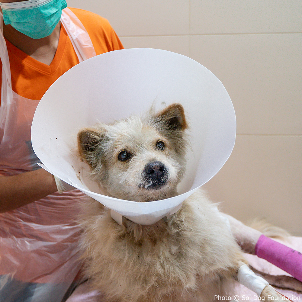 Funded: Save Toeythalay's Leg After Tragic Car Accident