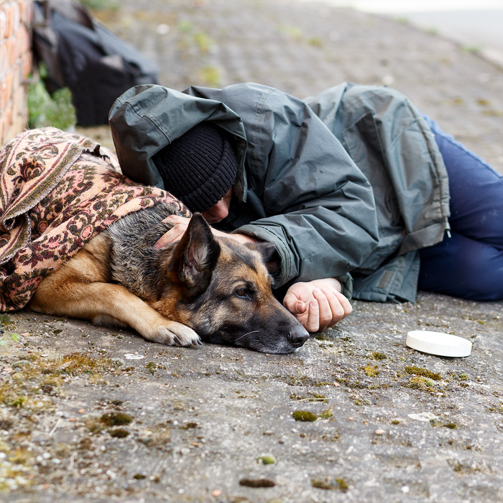 Send Critical Supplies to Veterans & Pets Experiencing Homelessness for Veterans Day