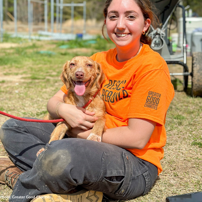 Help Rebuild an Animal Shelter