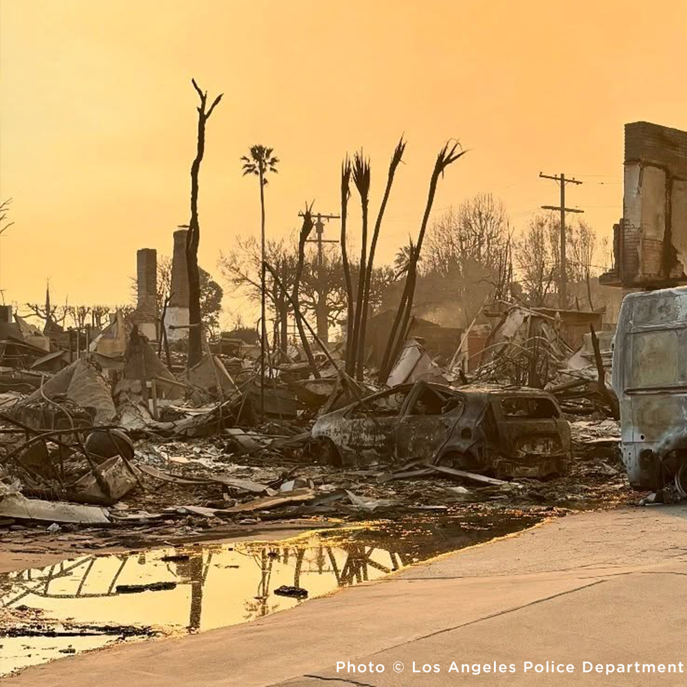 Crisis in California: Rush Aid to People & Pets Devastated by Wildfires