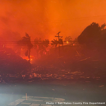 Crisis in California: Rush Aid to People & Pets Devastated by Wildfires