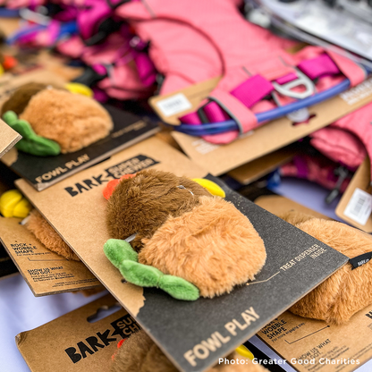 Send Winter Relief Kits to Veterans & Pets Experiencing Homelessness