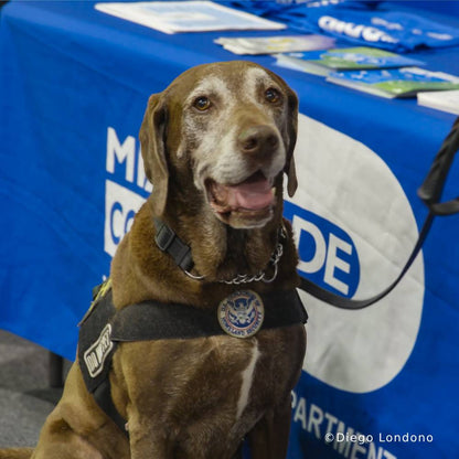 Send Winter Relief Kits to Veterans & Pets Experiencing Homelessness