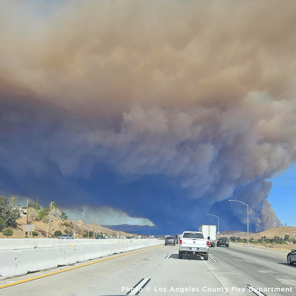 Crisis in California: Rush Aid to People & Pets Devastated by Wildfires