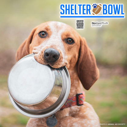 Shelter Bowl 2025: Feed Hungry Shelter Pets | Donations Matched!