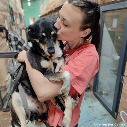 Traumatized Pets Abandoned in Ukraine Need a Safe Haven