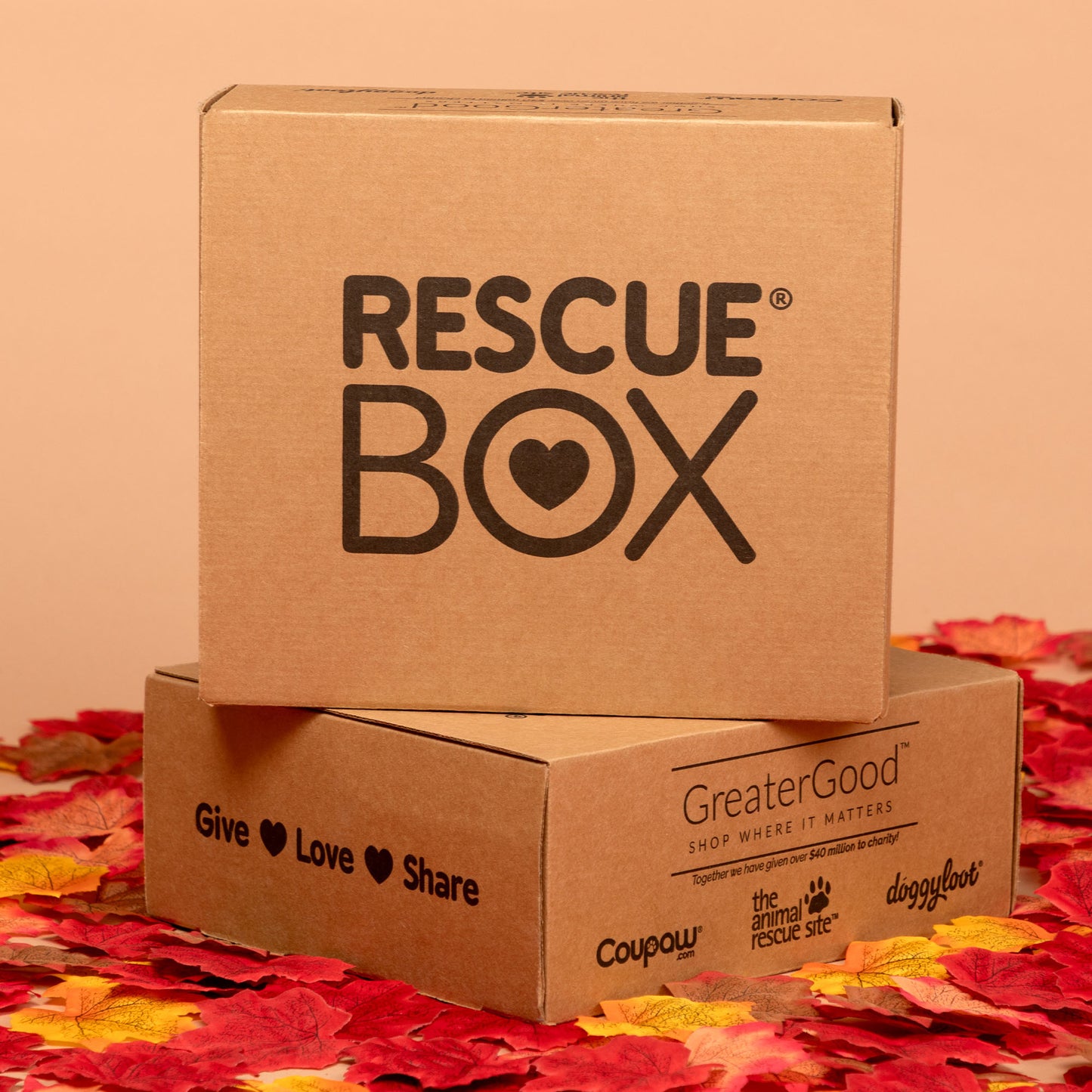 RescueBox&reg; - Spoil Your Pet, Help Animals In Need
