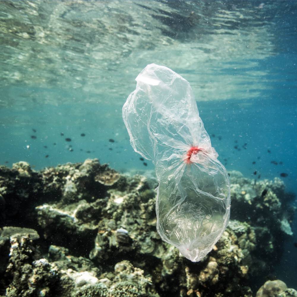 Help Save Our Oceans