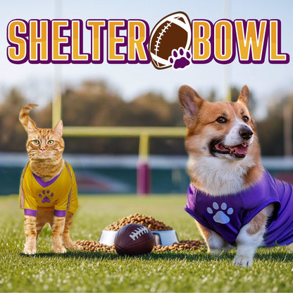 Shelter Bowl 2026: Feed Hungry Shelter Pets