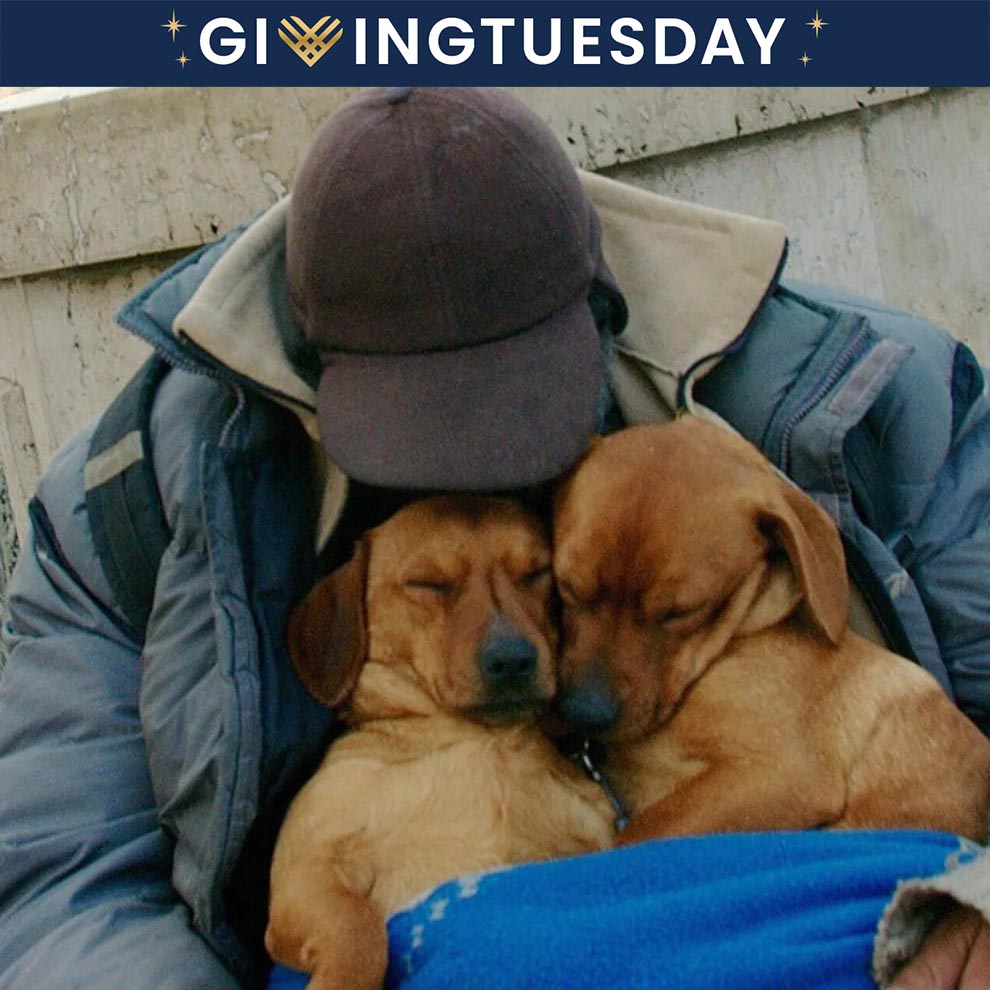 GivingTuesday: Send Good Packs to Homeless Americans and their Pets