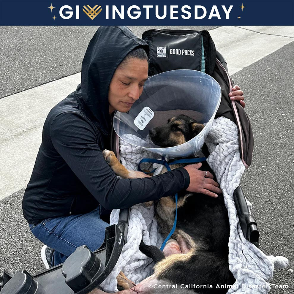 GivingTuesday: Send Good Packs to Homeless Americans and their Pets