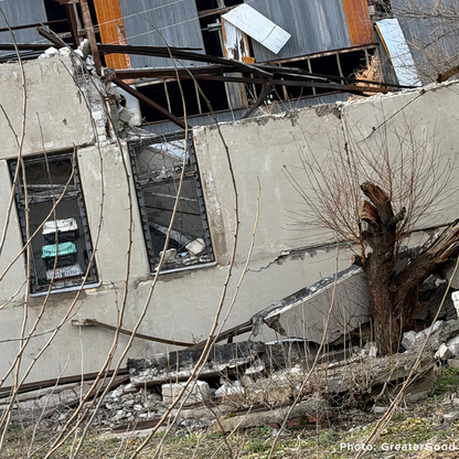 Ukraine Pets Face Starvation After Drone Strike Destroys Pet Food Warehouse