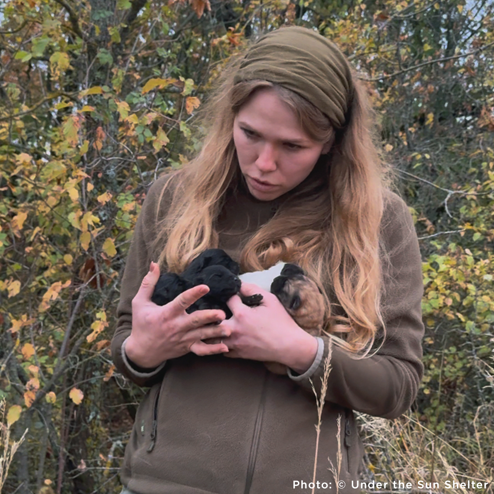 Woman holding a litter of tiny puppies in a forest setting
