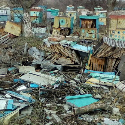 Help Save Bees Devastated by War in Ukraine