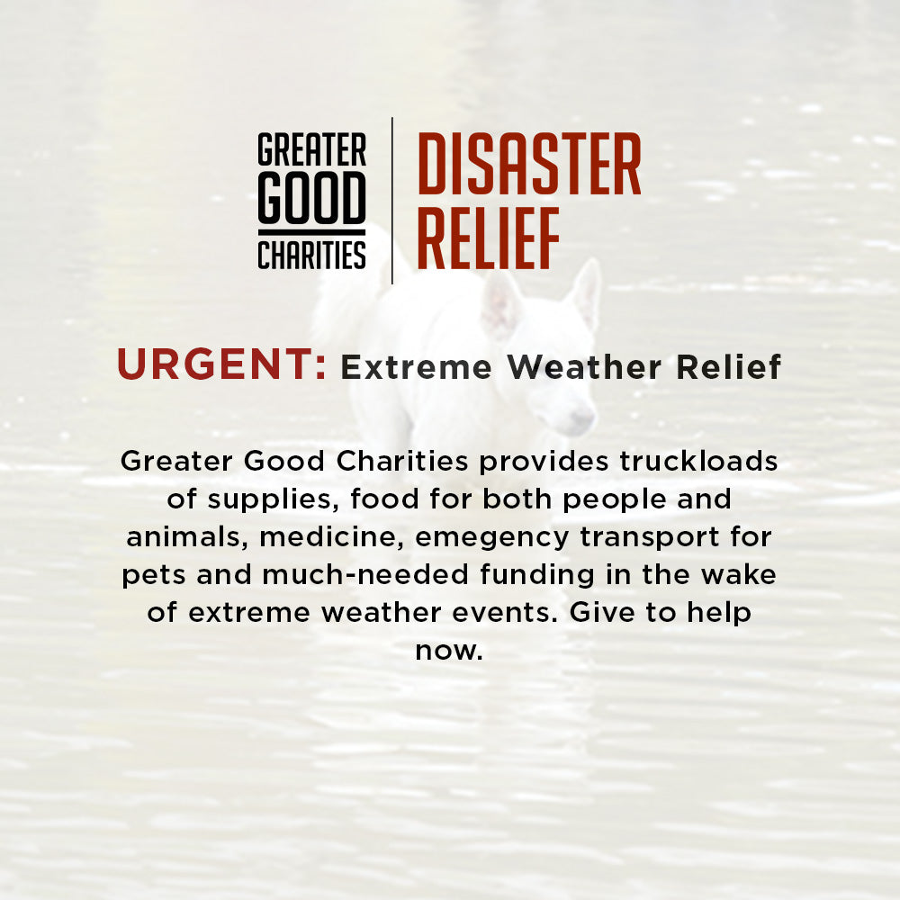 Help People and Pet Victims of Devastating Floods