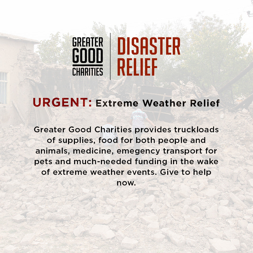 Help People and Pet Victims of Earthquakes