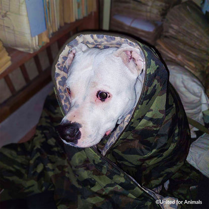 Send Desperately Needed Blankets to Homeless and Their Pets Before Winter