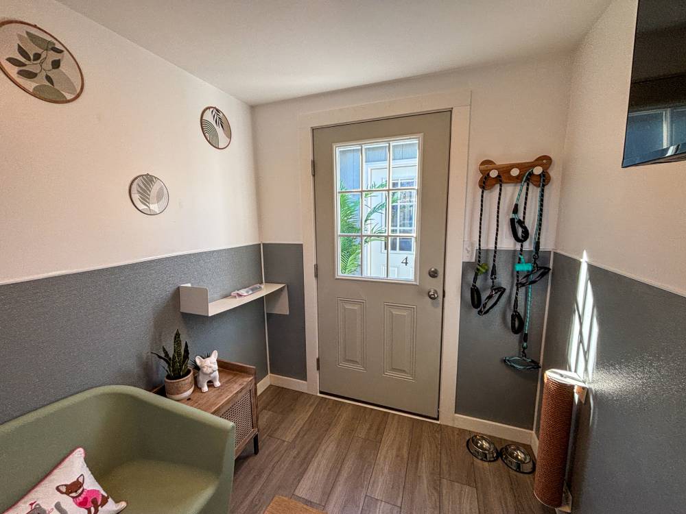 Keep Domestic Violence Victims and Their Pets Together