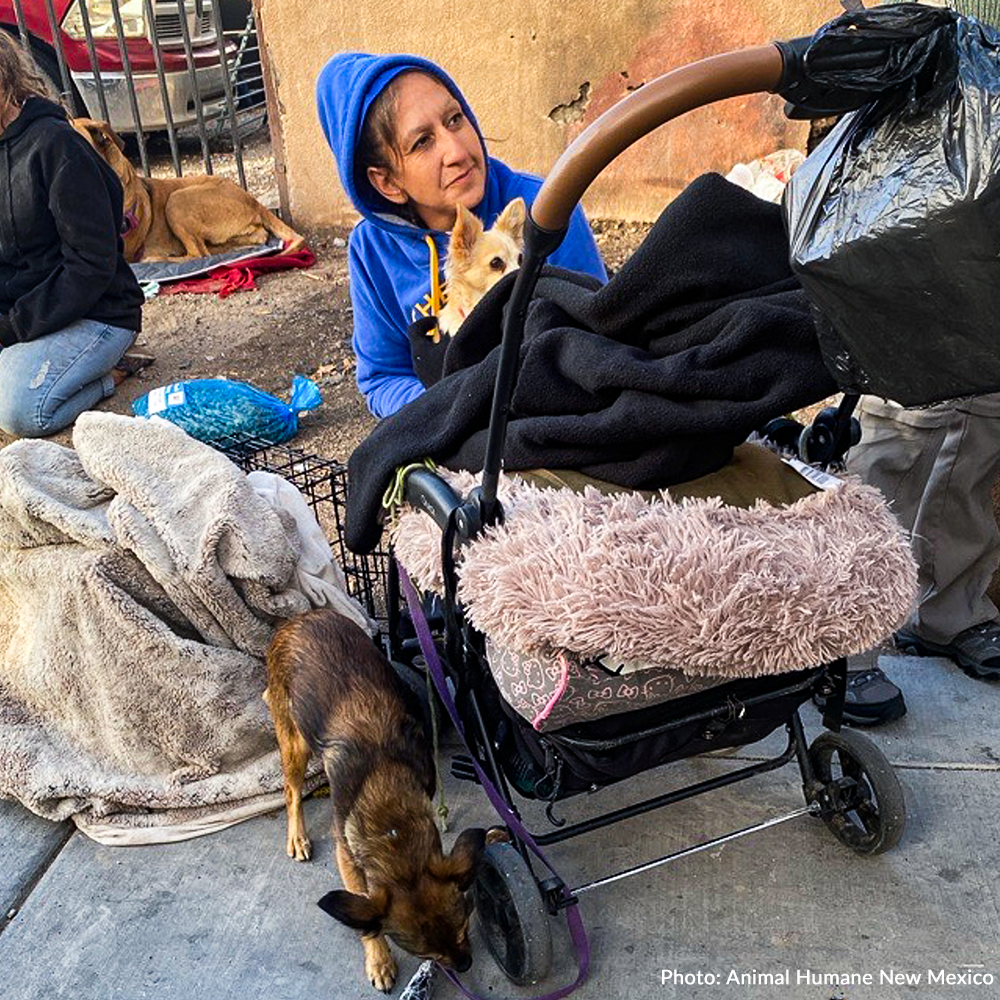 Send Desperately Needed Blankets to Homeless and Their Pets Before Winter