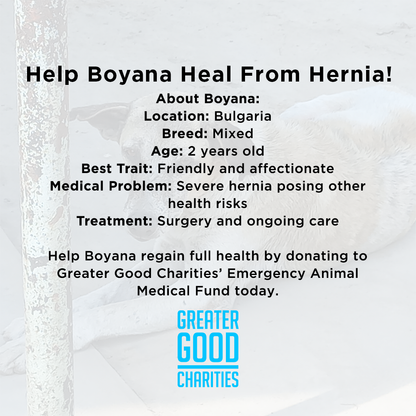Funded - Help Boyana Heal From Hernia