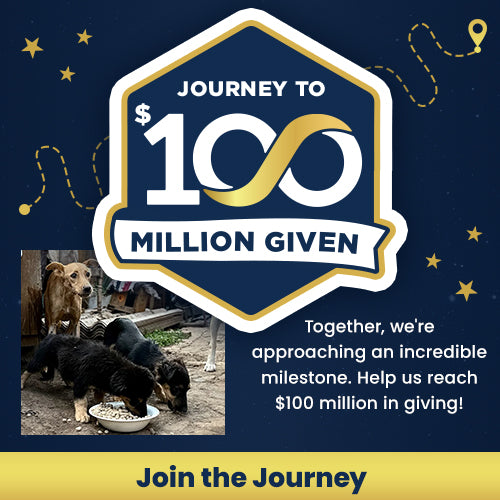 Support the Journey to $100 Million Given campaign by The Animal Rescue Site and GreaterGood. Help reach our goal as an incredible milestone within reach