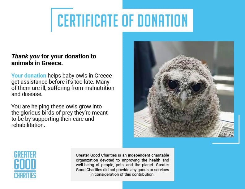 Funded: Baby Owls Need Help Spreading Their Wings