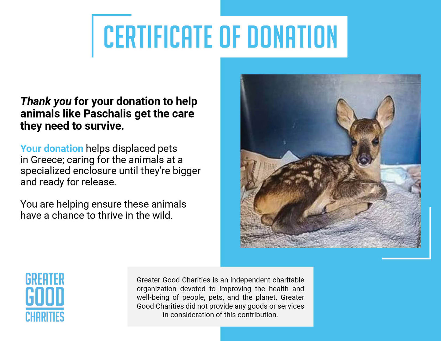 Funded: Orphaned Baby Deer Needs Specialized Care to Grow