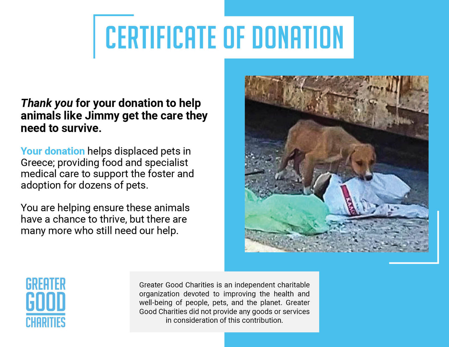 Funded: Help Emaciated Puppy Struggling To Survive At Dump Get Care He Needs