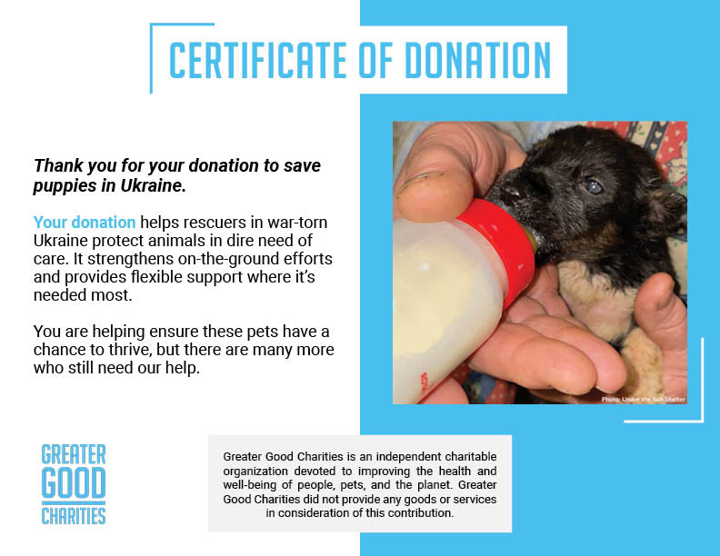 Save Abandoned Newborn Puppies Fighting for Their Lives in Ukraine