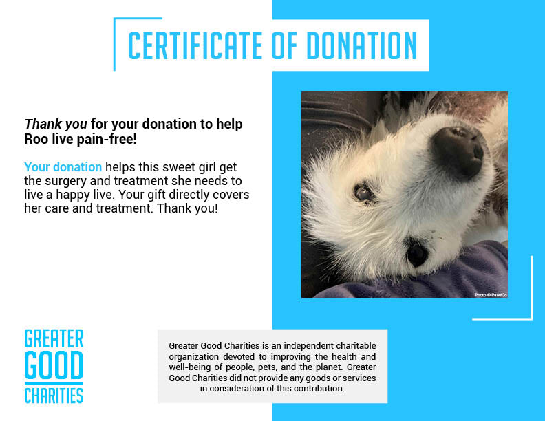 Funded - Help Roo Live Pain Free