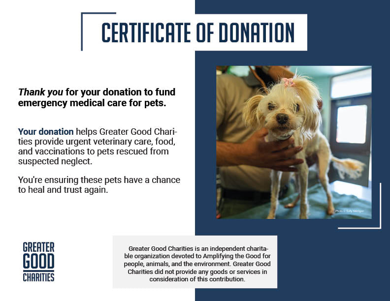 Funded: Emaciated, Matted, and Suffering from Sores, this Rescued Dog Needs Care